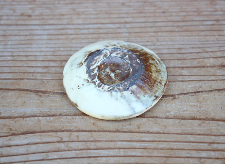 粉引石目箸置Ｉ