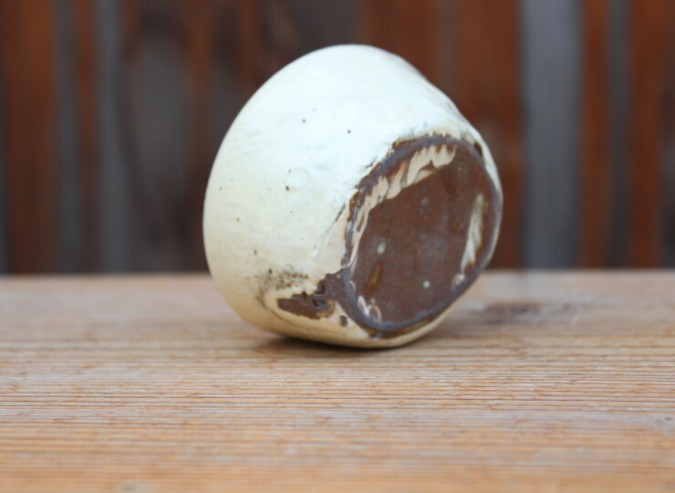 粉引石目花入Ｃ